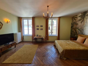 Maison Bourgeoise classée 3 étoiles à 100 m des Bords de Loire avec parkings privés